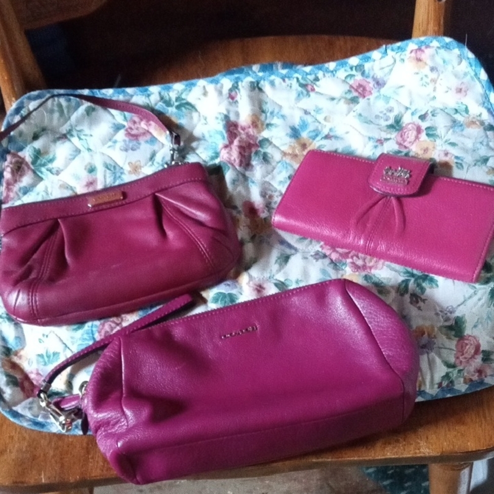 Coach Pink Leather Bag and Wallet Set